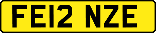 FE12NZE