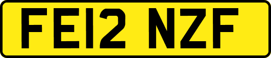 FE12NZF