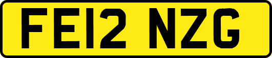 FE12NZG