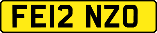 FE12NZO