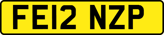 FE12NZP