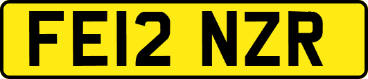 FE12NZR