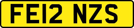 FE12NZS