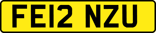 FE12NZU
