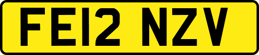 FE12NZV