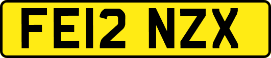 FE12NZX