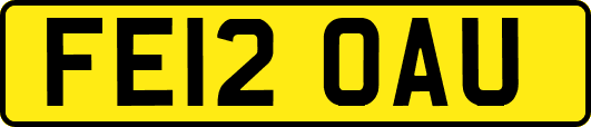 FE12OAU