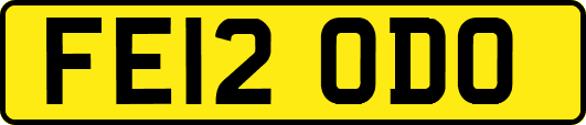 FE12ODO
