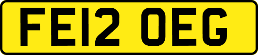 FE12OEG