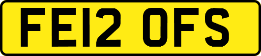 FE12OFS