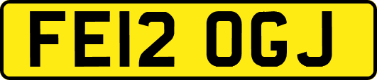 FE12OGJ