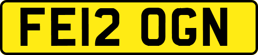 FE12OGN
