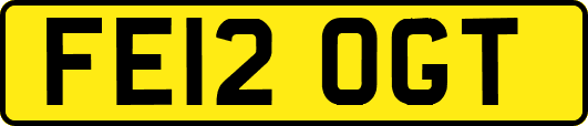 FE12OGT