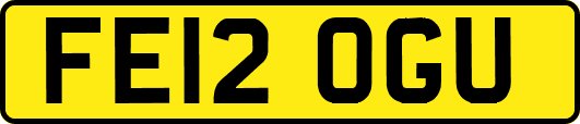 FE12OGU