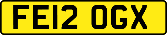 FE12OGX