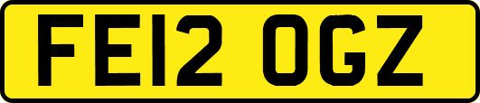 FE12OGZ