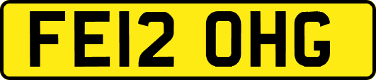 FE12OHG