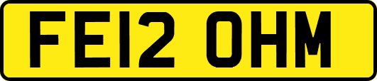 FE12OHM