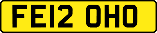 FE12OHO