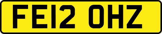 FE12OHZ