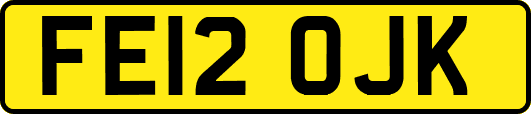 FE12OJK