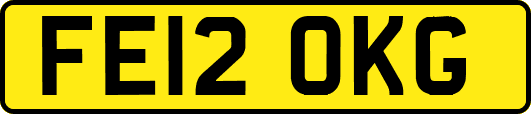 FE12OKG
