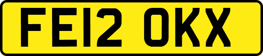 FE12OKX
