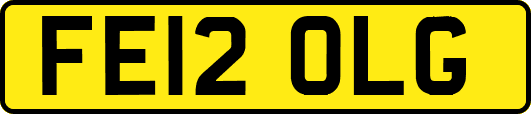 FE12OLG
