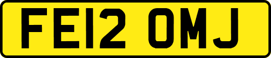 FE12OMJ