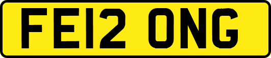 FE12ONG