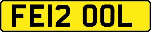 FE12OOL