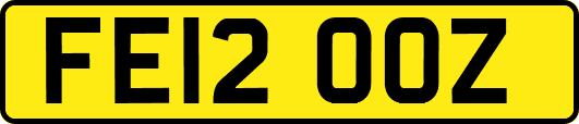 FE12OOZ