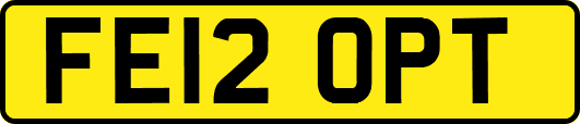 FE12OPT
