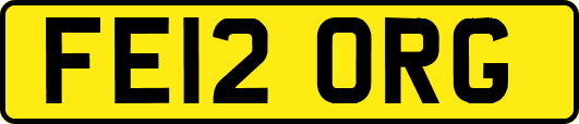 FE12ORG