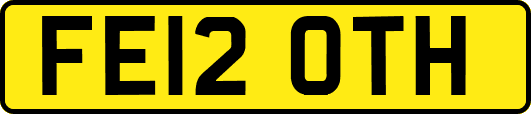 FE12OTH