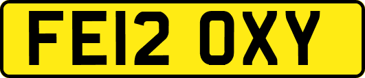 FE12OXY