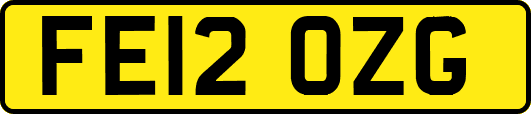FE12OZG