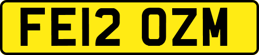 FE12OZM