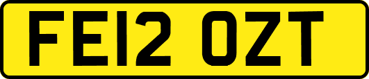 FE12OZT