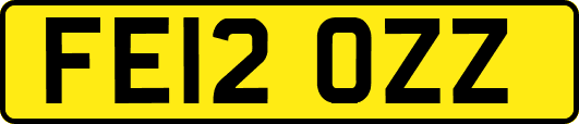 FE12OZZ