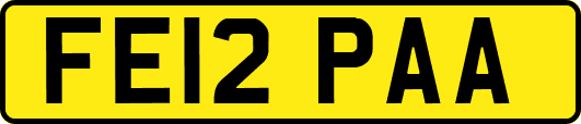 FE12PAA