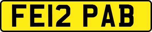 FE12PAB
