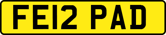 FE12PAD