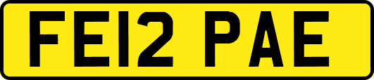 FE12PAE