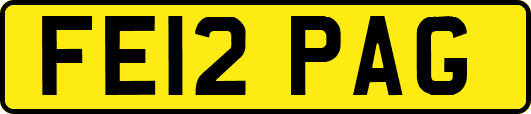 FE12PAG