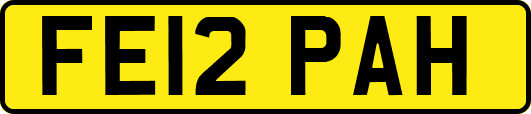 FE12PAH
