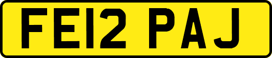 FE12PAJ
