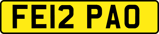 FE12PAO