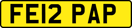 FE12PAP