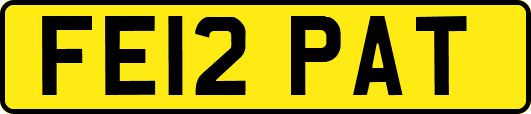 FE12PAT